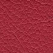 ../color2/images/18Red_Leather.jpg