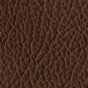 ../color2/images/22Chocolate_Leather.jpg