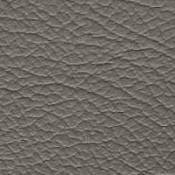 ../color2/images/27Taupe_Leather.jpg