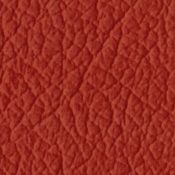 ../color2/images/59Tangerine_Leather.jpg