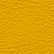 ../color2/images/62Maize_Leather.jpg